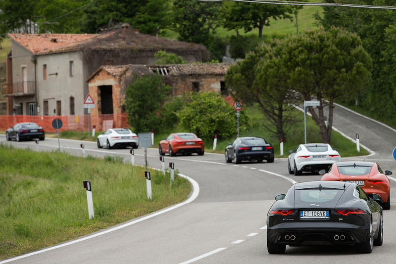 Illustration for article titled This Was Jaguar At The Mille Miglia